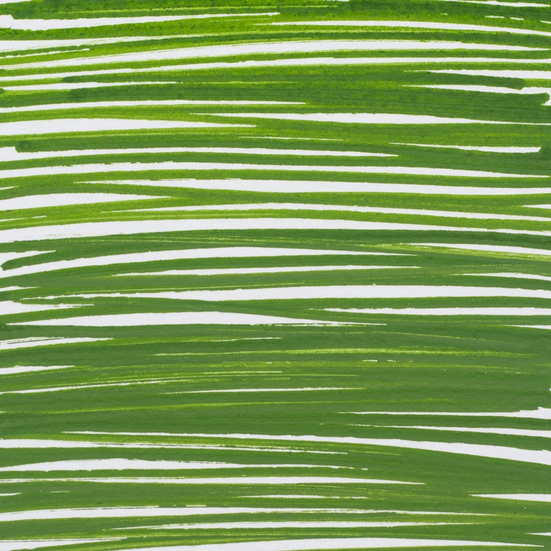 valkoiselle pinnalle piirretyt vihreät viivat